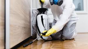 Best Residential Pest Control  in Pomona, NY